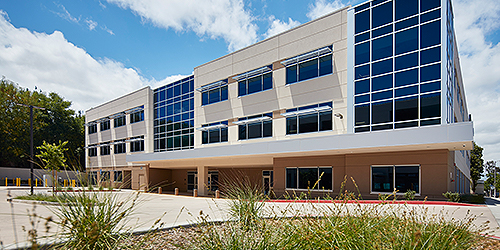 Centre for Neuro Skills