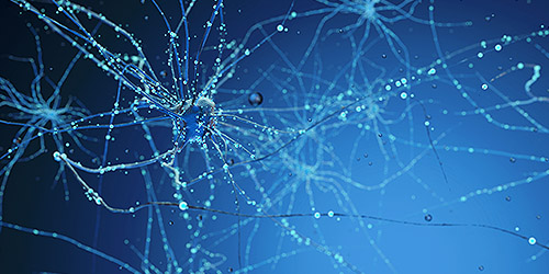 Centre for Neuro Skills