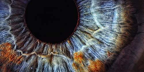 Centre for Neuro Skills