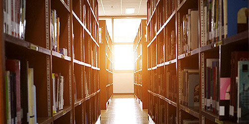 Centre for Neuro Skills