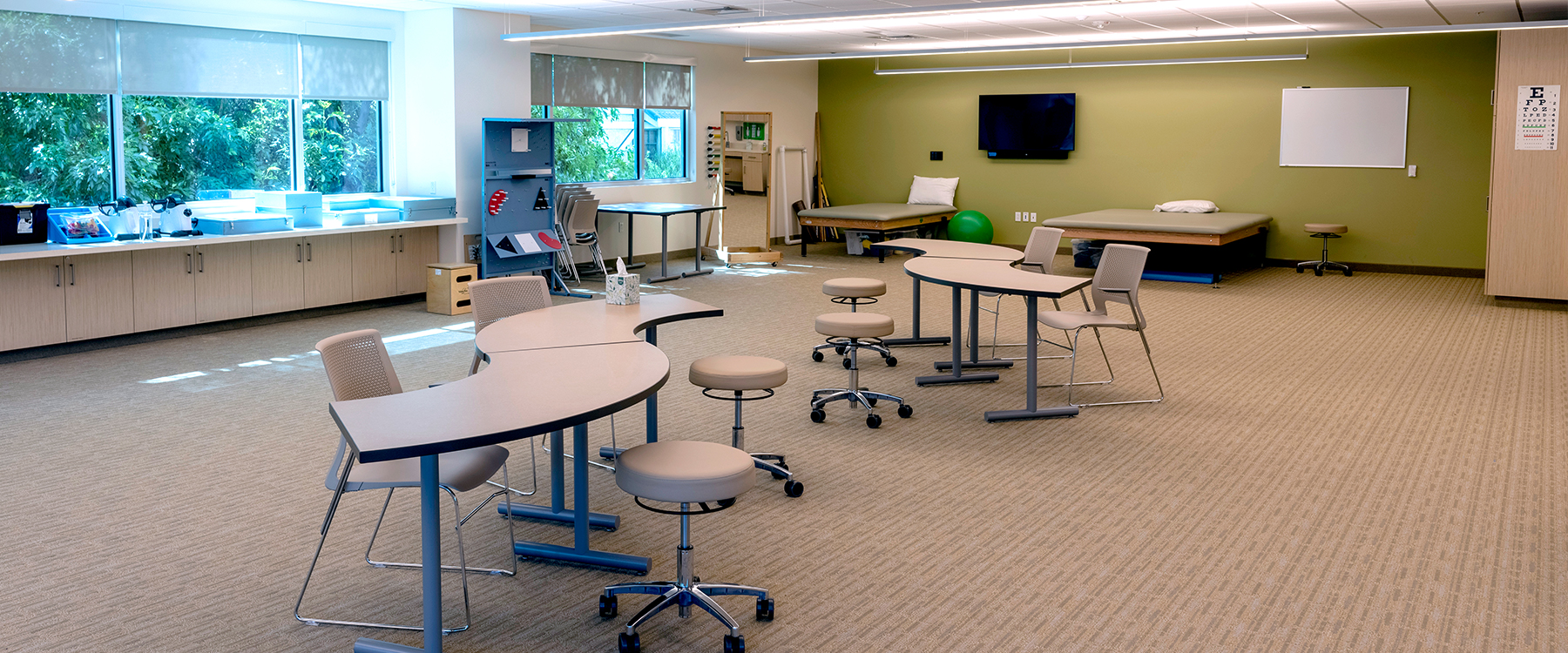 Centre for Neuro Skills