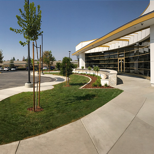 Centre for Neuro Skills