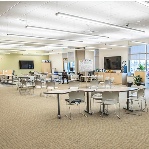 Centre for Neuro Skills