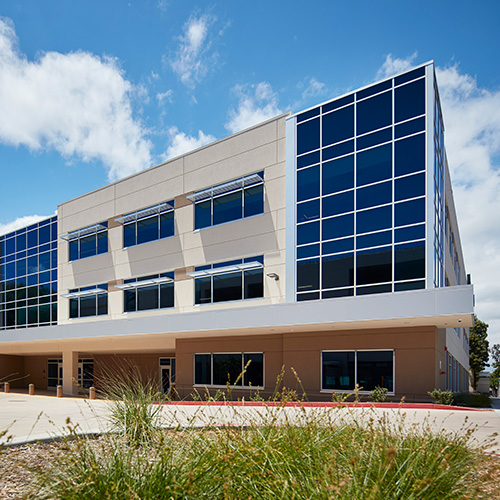 Centre for Neuro Skills
