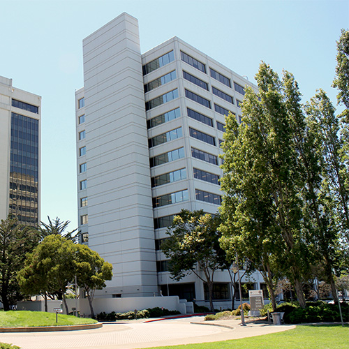 Centre for Neuro Skills