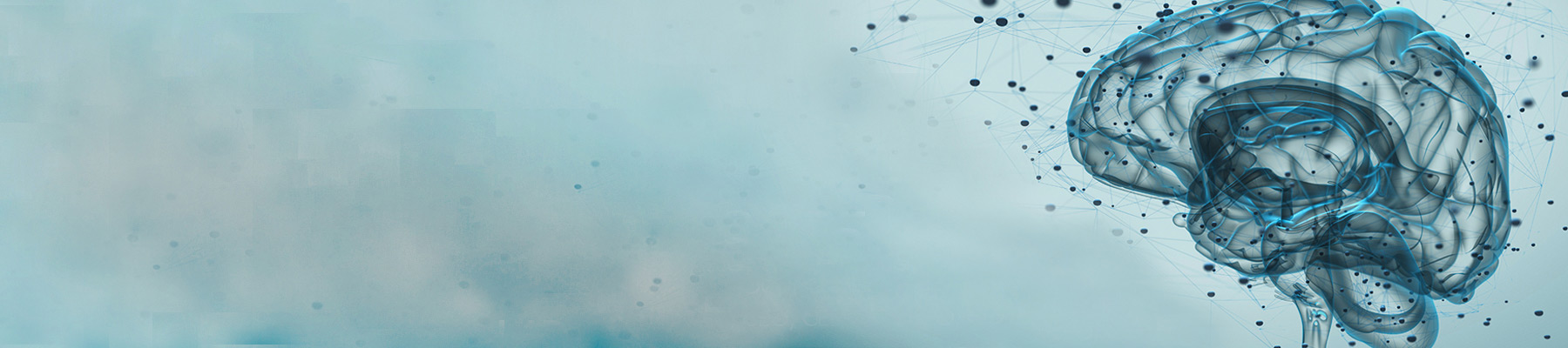 Neuro Landscape Blog - A Brain Injury Blog by Centre for Neuro Skills
