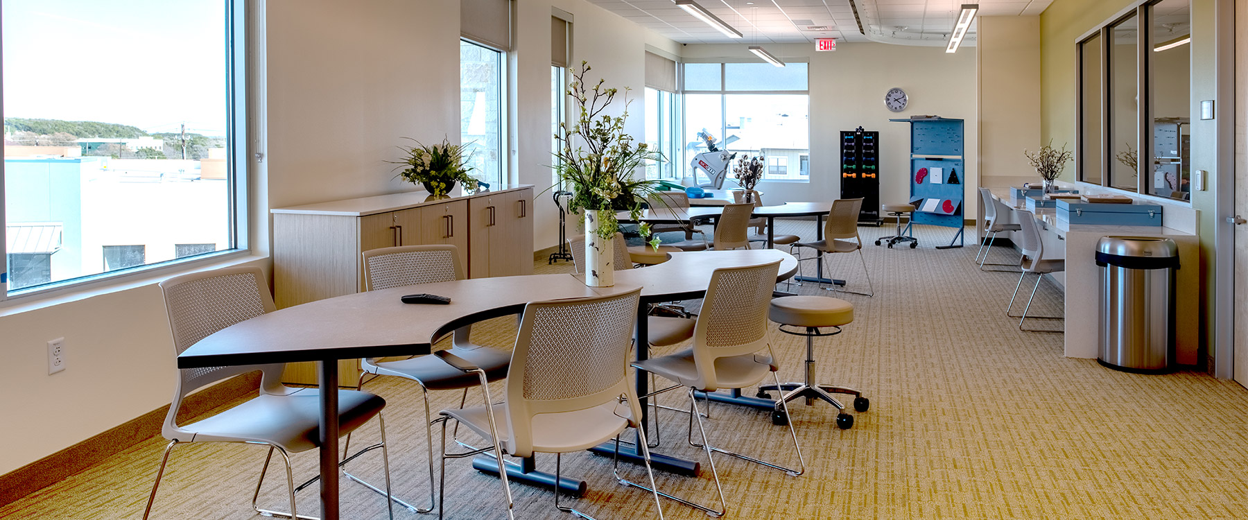Centre for Neuro Skills