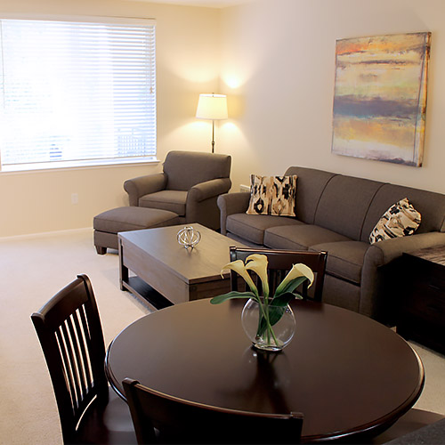 CNS residential apartment living room